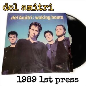 1989 Del Amitri Waking Hours 1st Press Greman Import Vinyl Record